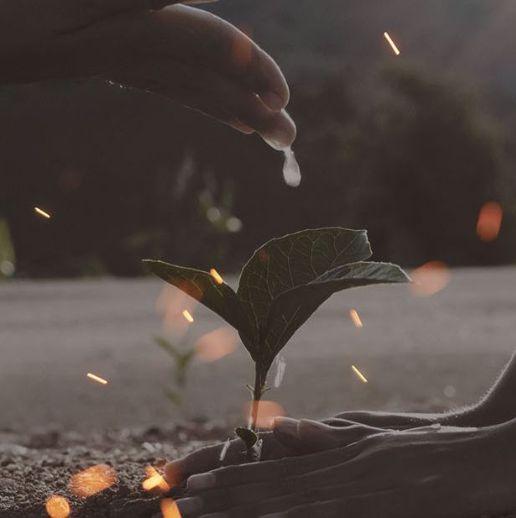 How to Let God’s Love Shape Your Life