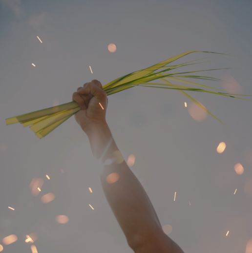 Defining Discipleship:What it Means to Follow Jesus