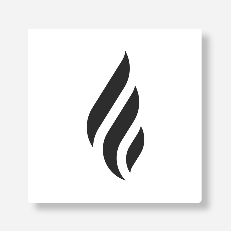 Plan A Book Spanish | Forge Forward
